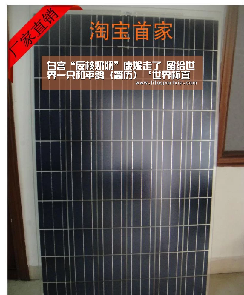 白宫“反核奶奶”康妮走了 留给世界一只和平鸽(简历)‘世界杯直播’(图3) 比赛集锦
